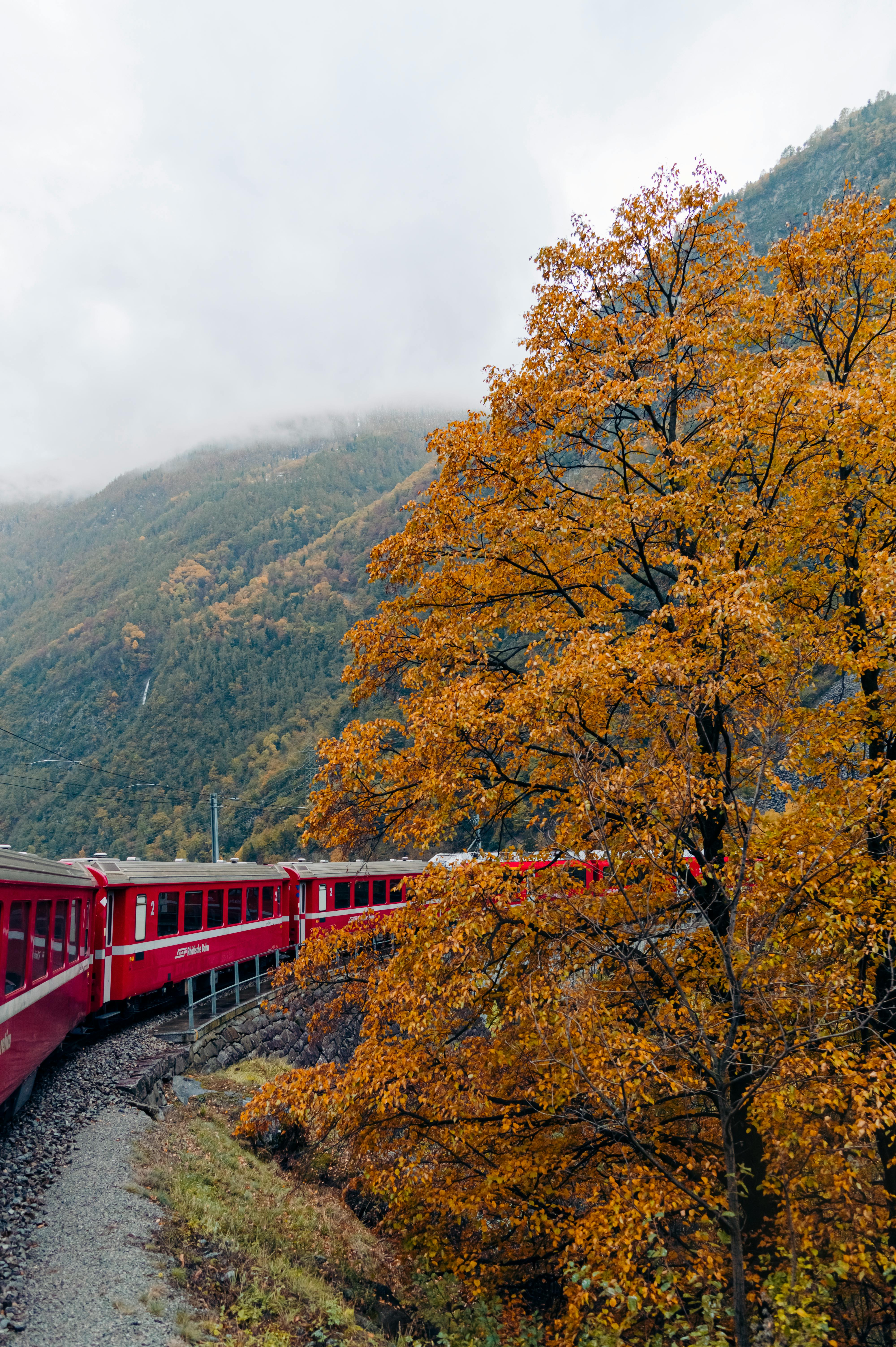 Train in mountains